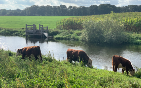 Hardlooproute: Rondje Regge