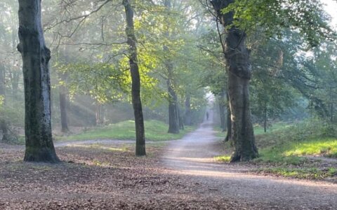 Kees Larooij vertelt over de grenzen van het lichaam