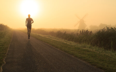 Wat is het beste tijdstip om te lopen?