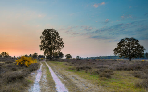 Column Marloes: vrouw zoekt hardlooproute
