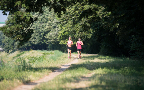 Kom vier dagen hardlopen op de groene Veluwe
