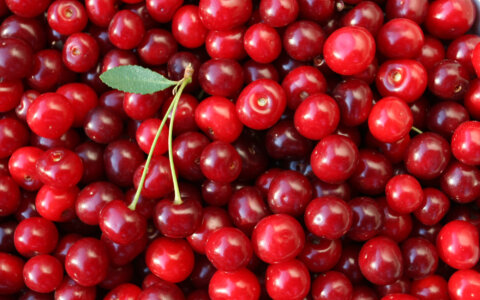 Voedingstip: Zeven makkelijke snacks tijdens een lange training