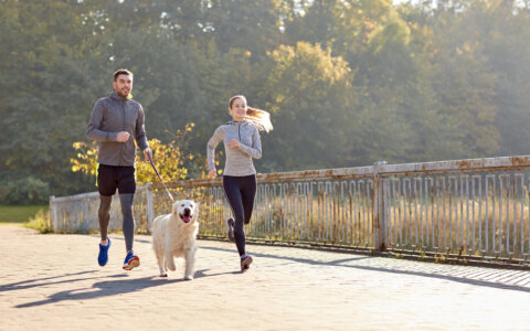 Hardlopen, het kan ook met de hond!