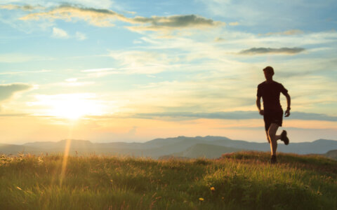 De invloed van vitamine D