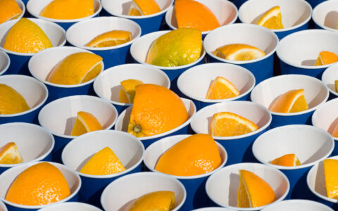 Het oranje goud: sinaasappels