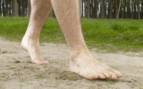 Barefoot runner Bram Vogels