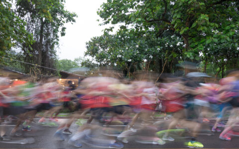 5x lopen door een attractiepark