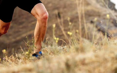 Teff: het grote geheim van een uniek graansoort
