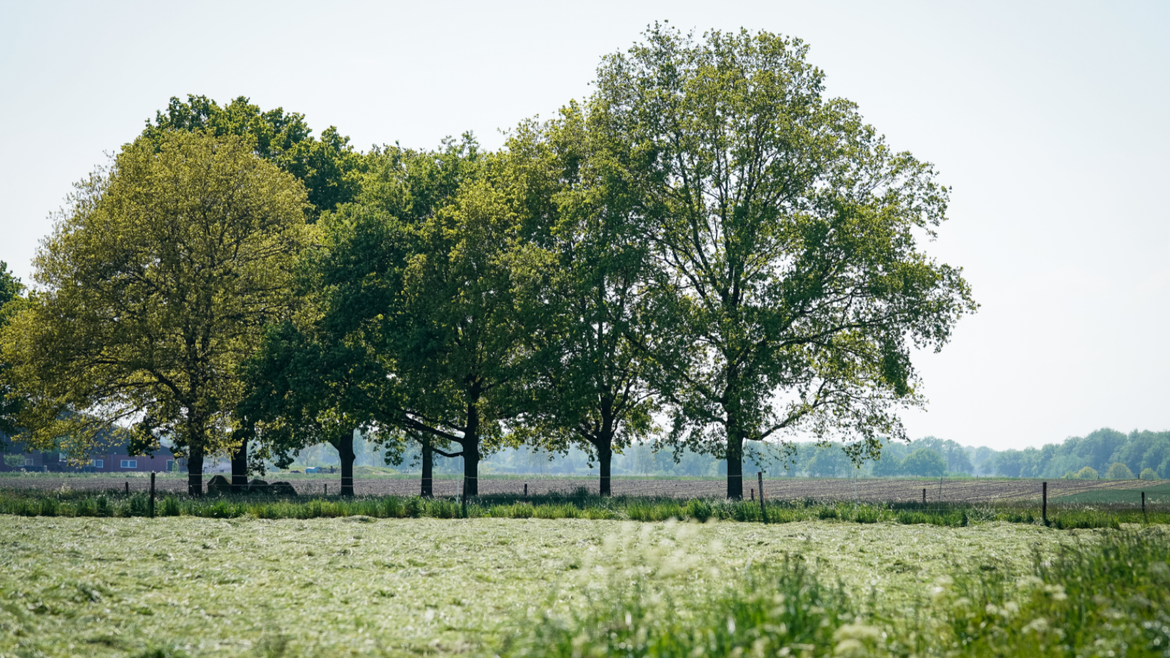Verken de schatkamer van de geschiedenis in het Drentsche Aa