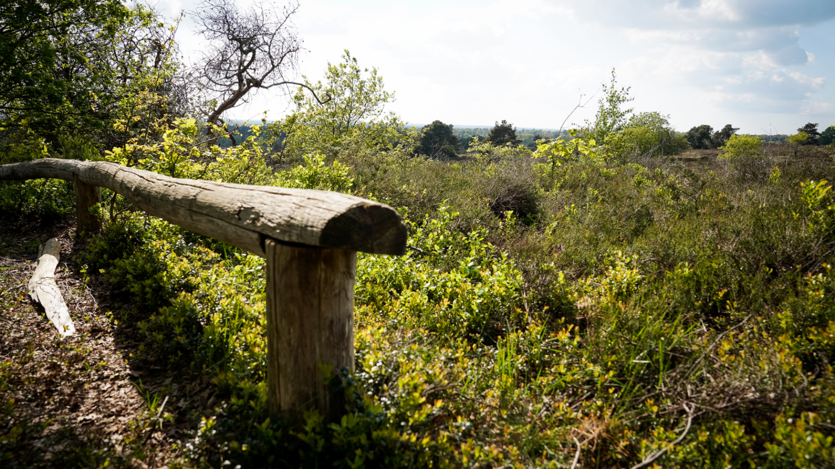 Ga hardlopen in Nationaal Park de Sallandse Heuvelrug