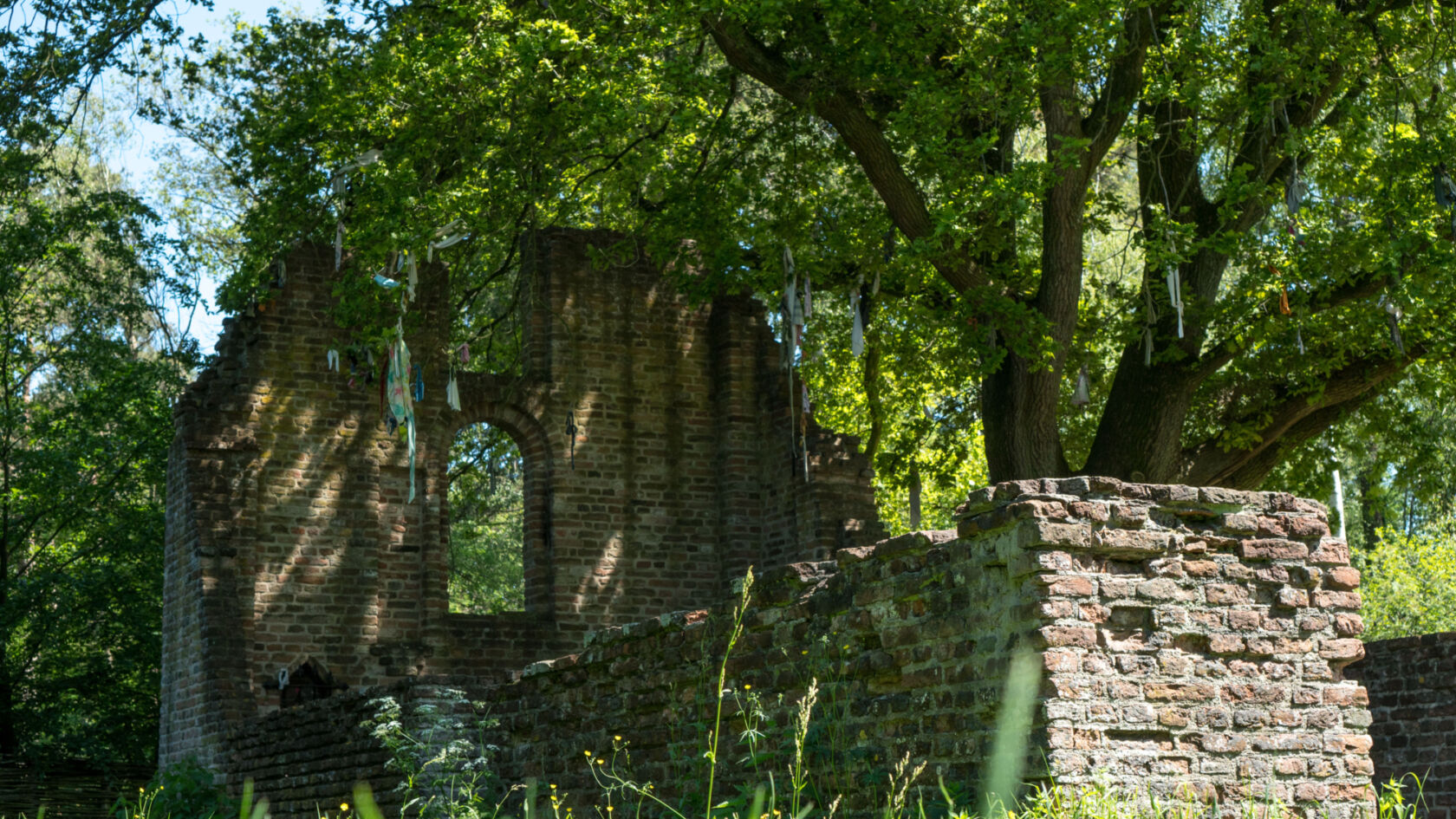 Hardlopen in Nijmegen: ontdek natuurgebied Haterste Vennen