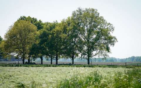 Verken de schatkamer van de geschiedenis in het Drentsche Aa