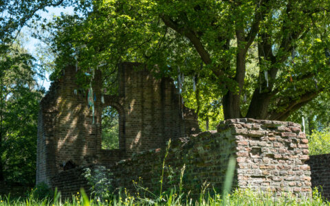 Hardlopen in Nijmegen: ontdek natuurgebied Haterste Vennen