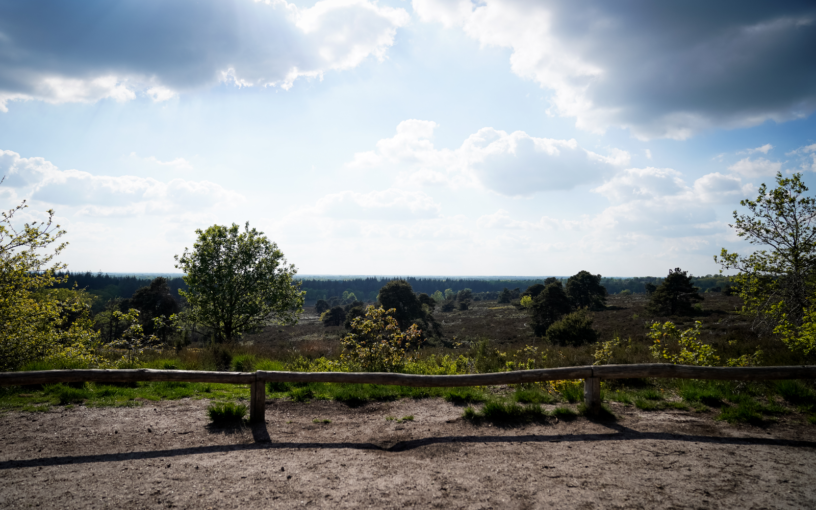 Sallandse Heuvelrug Uitzichtpunt Holterberg