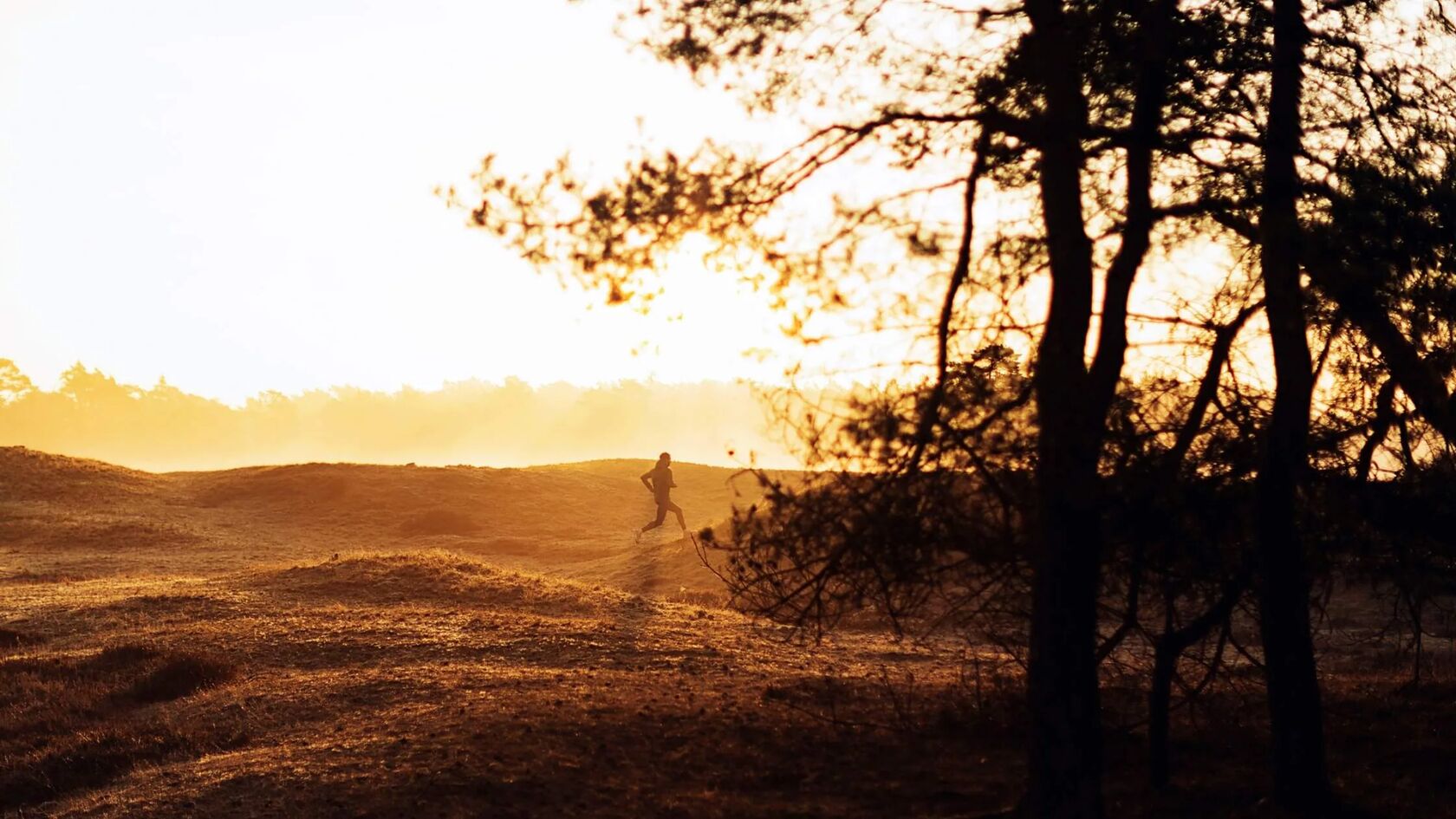 De voordelen van hardlopen in de ochtend