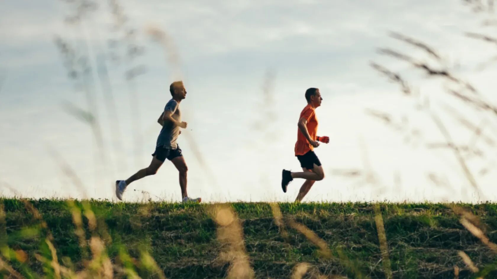 Verbeter je weerstand