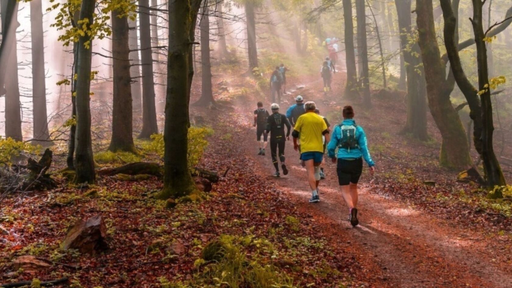 Hardlopen met natuurlijke hindernissen: de Strong Viking Trail Run