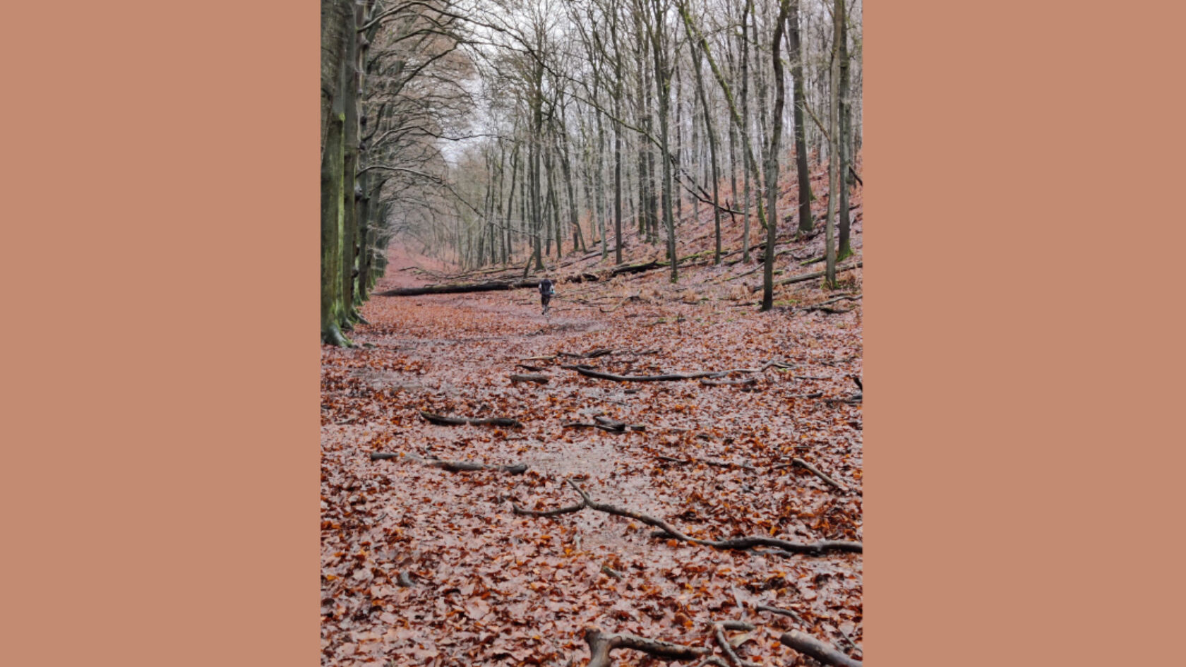 Het geluk van stilte