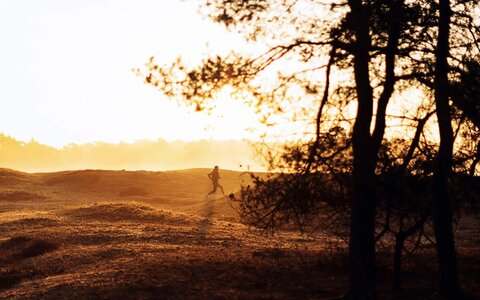 De voordelen van hardlopen in de ochtend