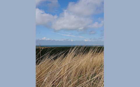 De rand van het land