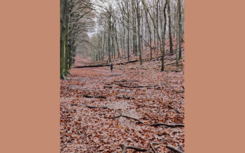 Het geluk van stilte