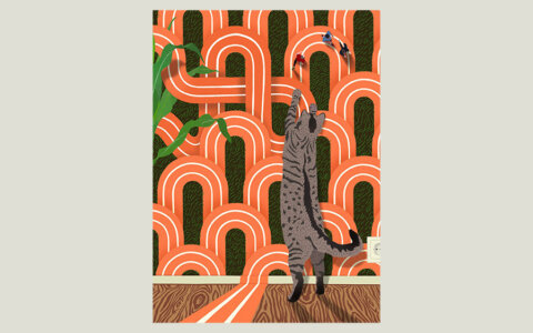 Column: Het vaste rondje